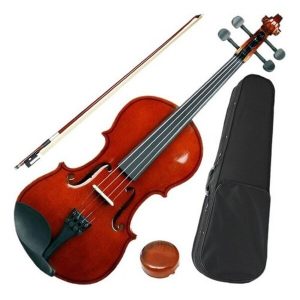 instrumentos musicais de corda - violino