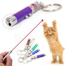 brinquedos para pets filhotes laser gatos