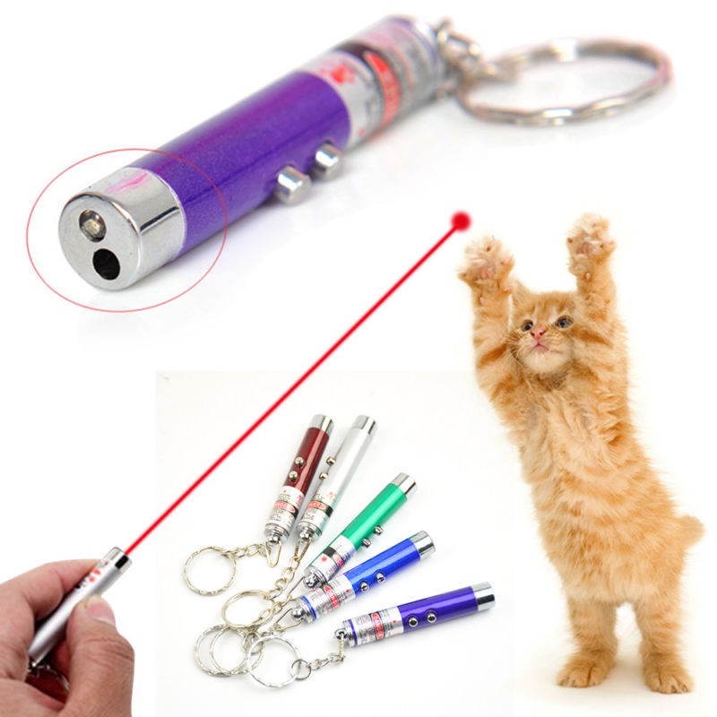 brinquedos para pets filhotes laser