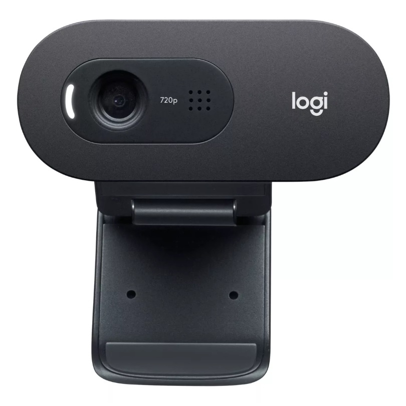 Camera web Logitech C505 HD 30FPS