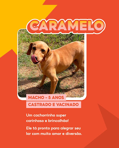 caramelo