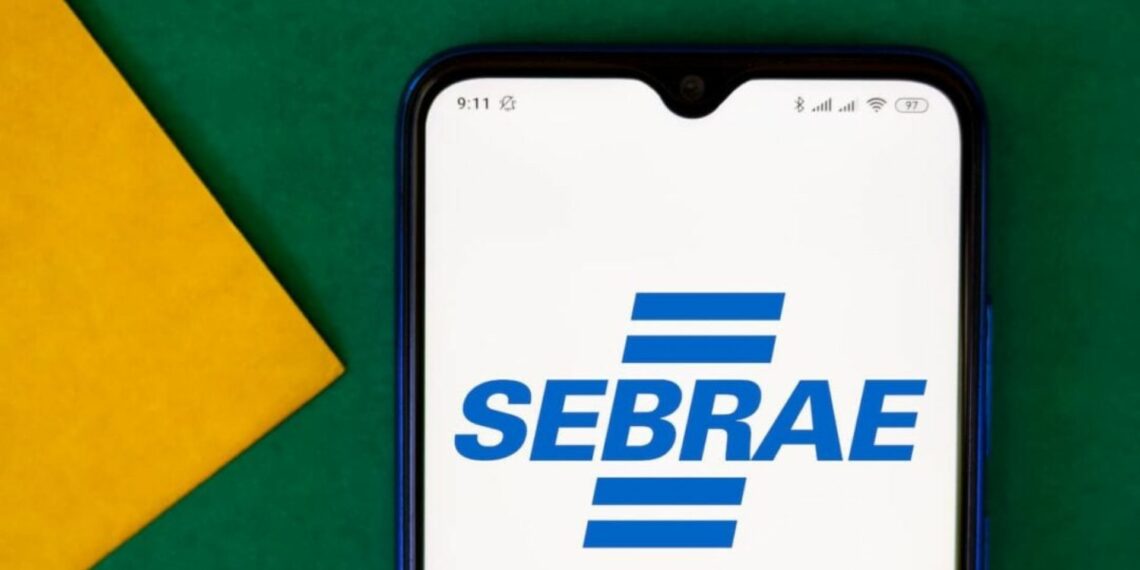 Sebrae e Shopee lancam plataforma para apoiar digitalizacao de pequenos negocios