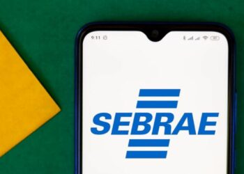 Sebrae e Shopee lancam plataforma para apoiar digitalizacao de pequenos negocios