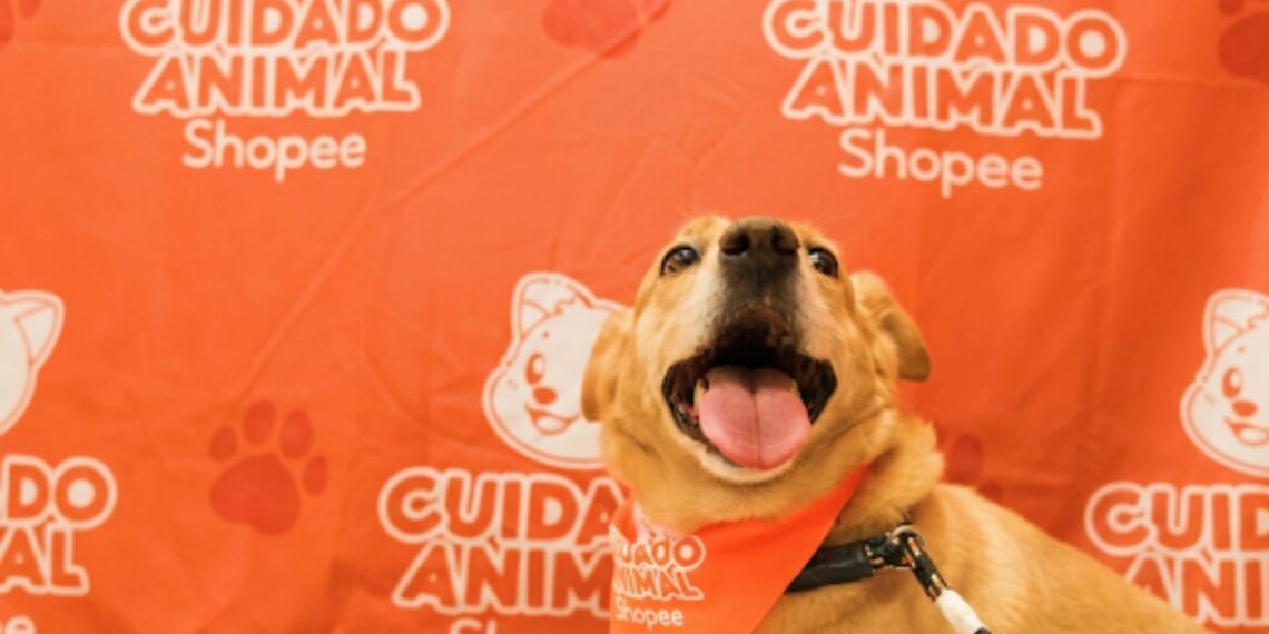 Shopee e Instituto Ampara Animal se unem