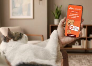 Shopee e Instituto Ampara Animal se unem no Abril Laranja com campanha de doacoes e evento de adocao em Sao Paulo