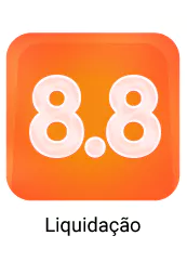 8.8 liquidacao